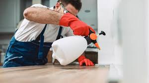 Reliable Kenilworth, NJ Pest control Solutions